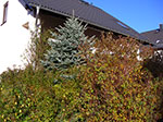 IMGP0141.jpg