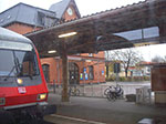 IMGP0170.jpg