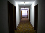 IMGP0193.jpg