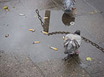 IMGP0228.jpg