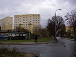 IMGP0231.jpg