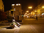IMGP0242.jpg