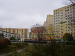 IMGP0260.jpg