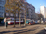 IMGP0279.jpg