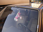 IMGP0292.jpg