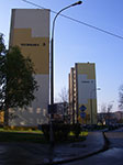 IMGP0295.jpg