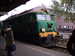 IMGP0329.jpg