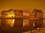 IMGP0377.jpg