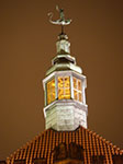 IMGP0389.jpg