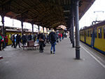 IMGP0397.jpg