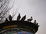 IMGP0409.jpg