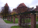 IMGP0412.jpg