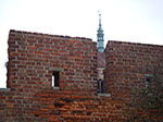 IMGP0417.jpg