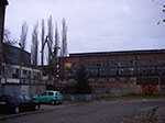 IMGP0423.jpg