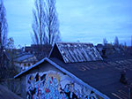 IMGP0435.jpg