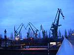 IMGP0436.jpg