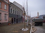 IMGP0531.jpg