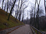 IMGP0548.jpg