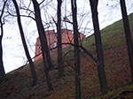 IMGP0549.jpg