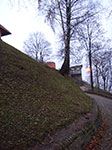 IMGP0552.jpg