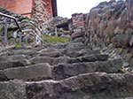 IMGP0554.jpg