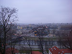 IMGP0578.jpg