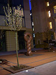IMGP0613.jpg