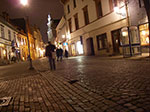 IMGP0618.jpg