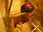IMGP0640.jpg