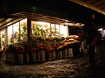 IMGP0677.jpg