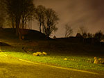 IMGP0700.jpg