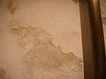 IMGP0730.jpg
