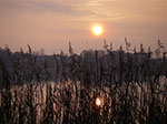 IMGP0769.jpg