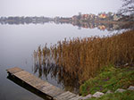 IMGP0781.jpg