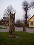 IMGP0784.jpg