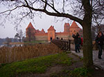 IMGP0794.jpg