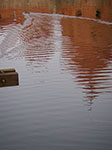 IMGP0799.jpg