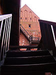 IMGP0812.jpg