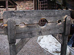 IMGP0821.jpg