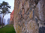 IMGP0825.jpg