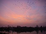 IMGP0841.jpg