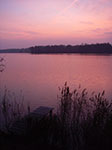 IMGP0842.jpg
