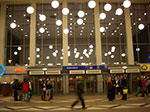IMGP0990.jpg