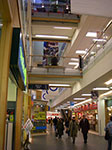 IMGP0998.jpg