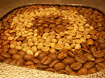 IMGP1020.jpg