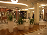 IMGP1054.jpg