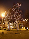 IMGP1059.jpg
