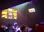 IMGP1138.jpg