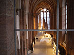 IMGP1164.jpg