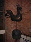 IMGP1217.jpg